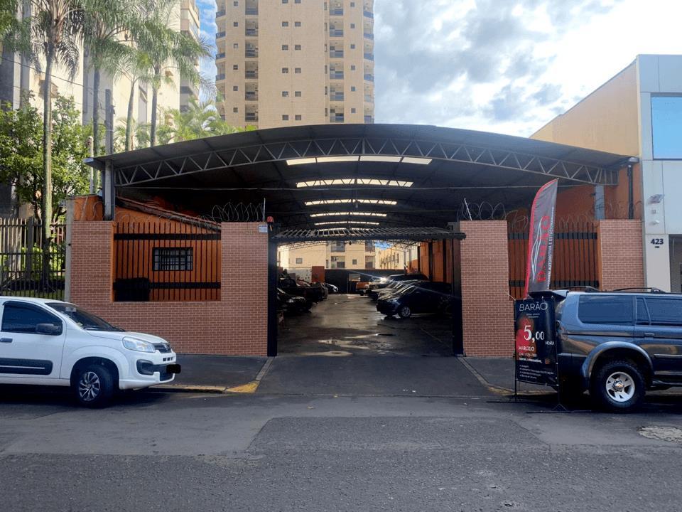 Barao Ribeirao Hotel 3*